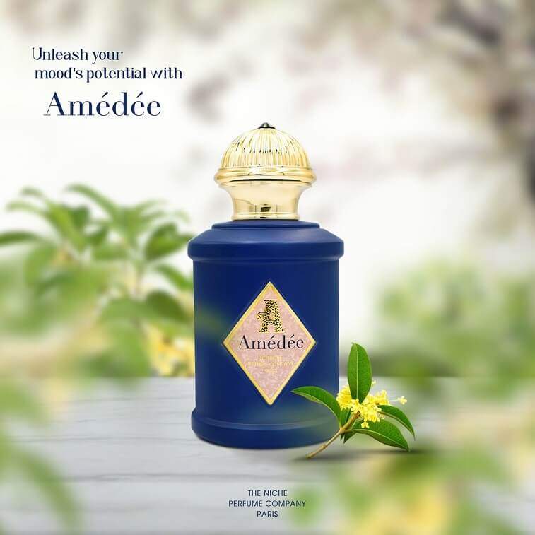 Amédéé Perfume For Men Women, Luxury Fragrance Scent 100ml, Original - Image 2
