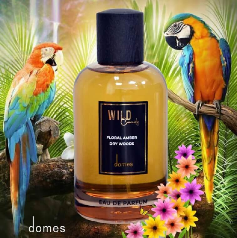 Wild Candy Perfume For Men Women, Strong Candy Scent By Domes Scent, Original